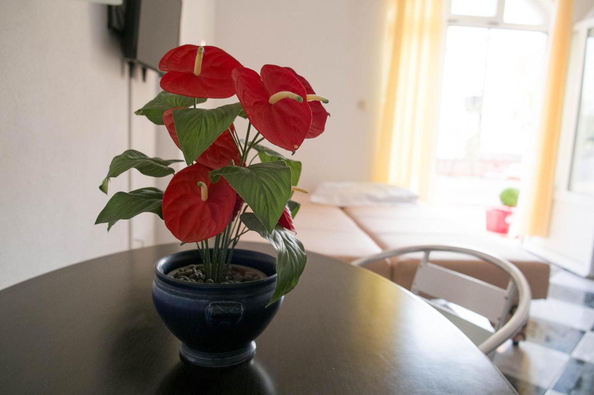 Apartments Damjanovic Makarska Ruang foto